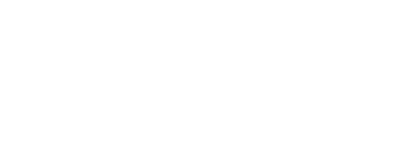 sprinter